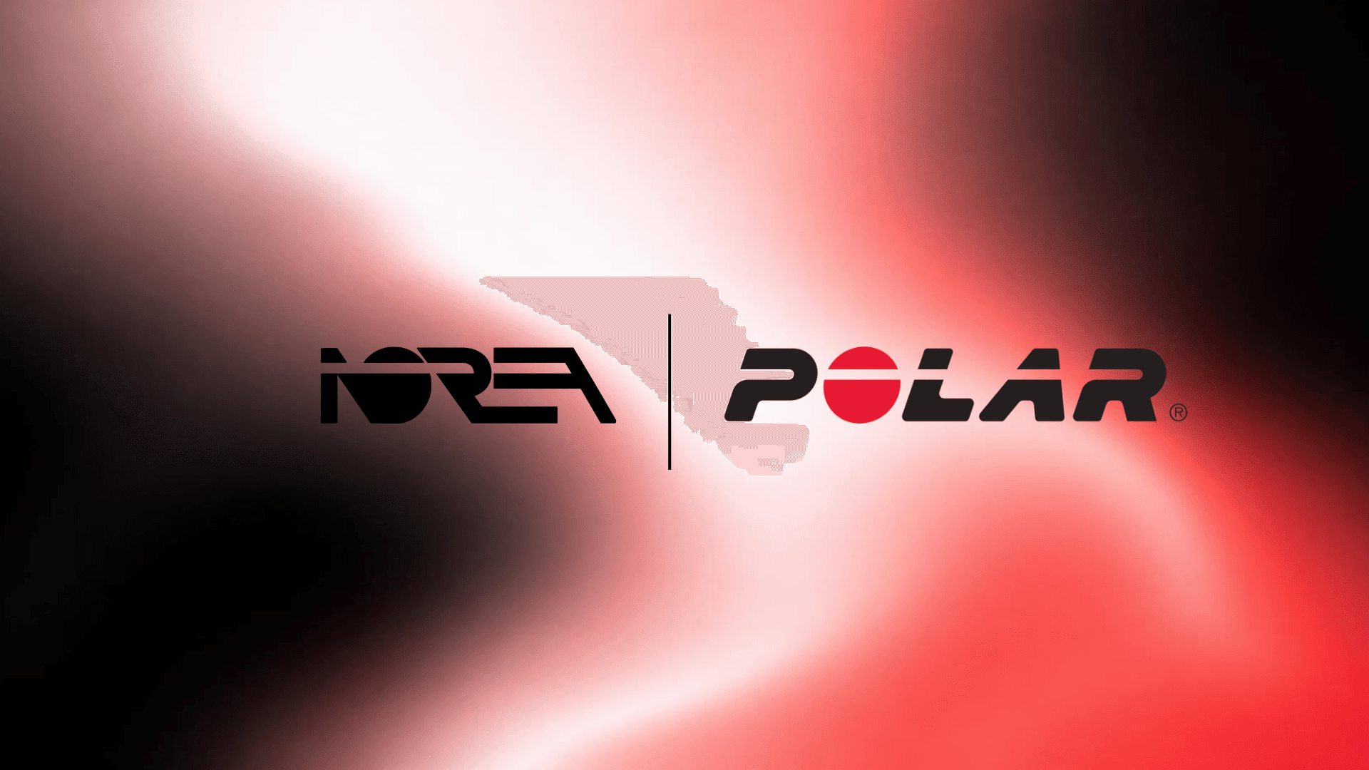 NOREA x Polar